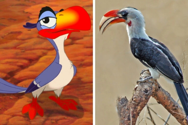 Zazu Meaning Explained